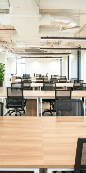 cirCO Trần Quốc Thảo